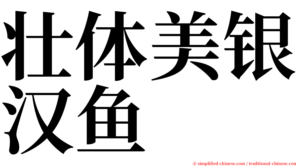 壮体美银汉鱼 serif font