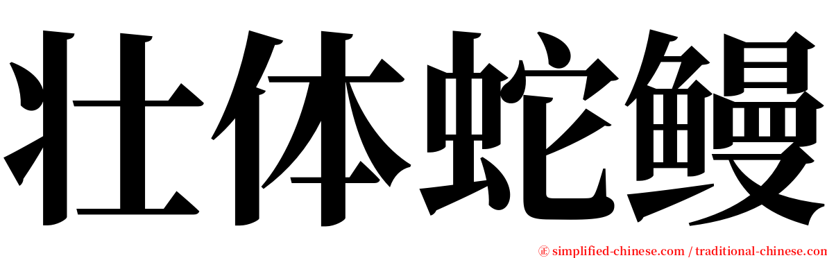 壮体蛇鳗 serif font