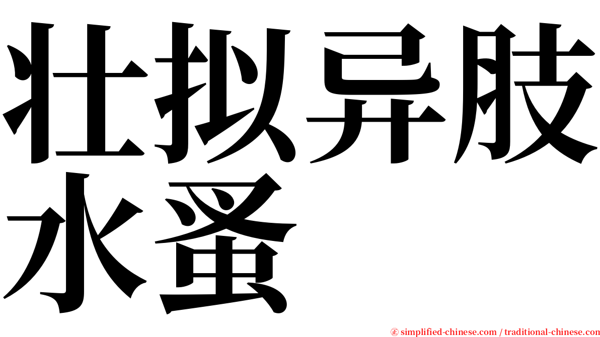 壮拟异肢水蚤 serif font