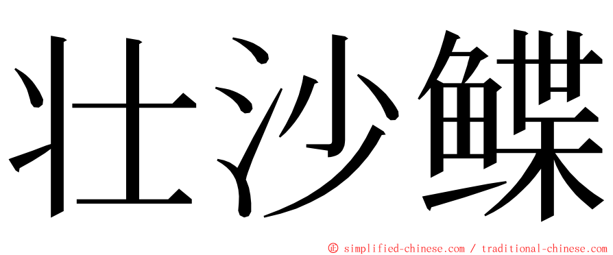 壮沙鲽 ming font