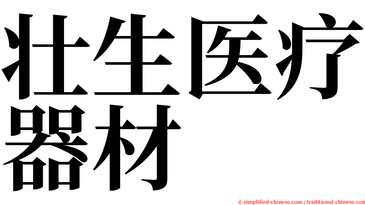 壮生医疗器材 serif font