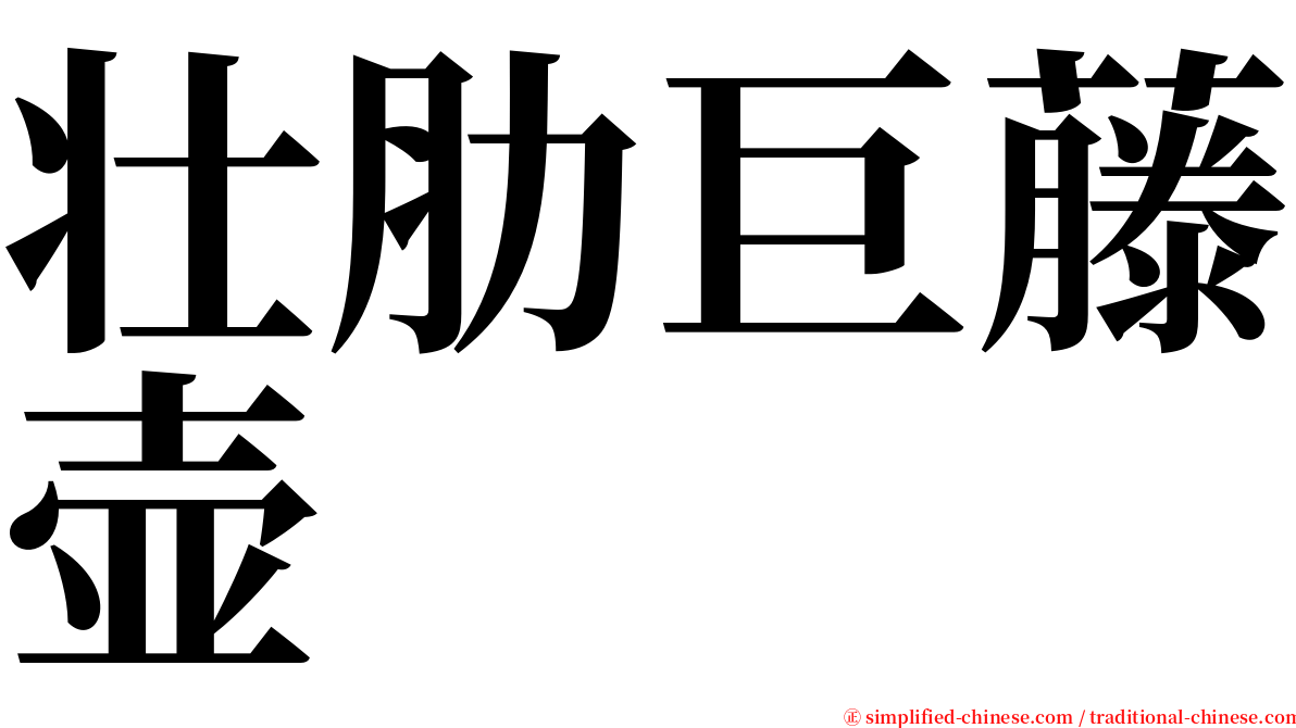 壮肋巨藤壶 serif font