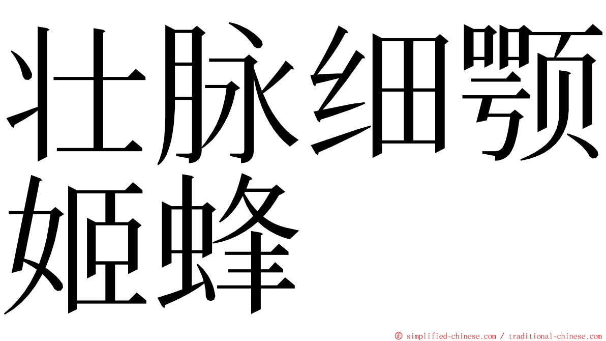 壮脉细颚姬蜂 ming font