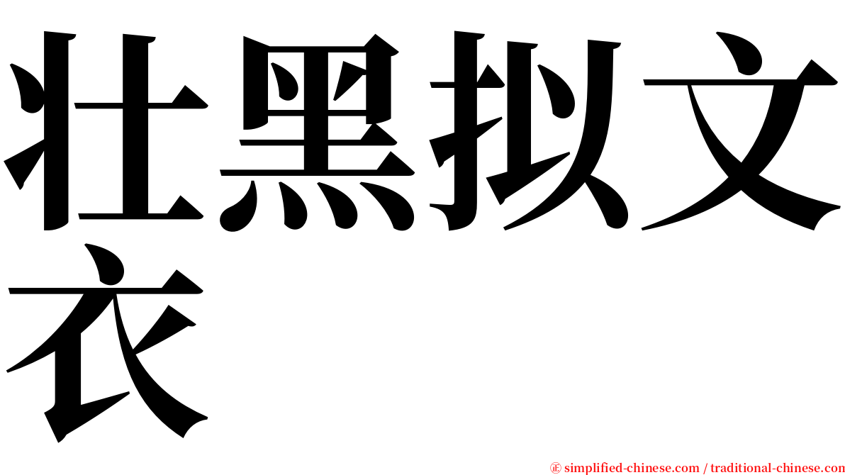 壮黑拟文衣 serif font