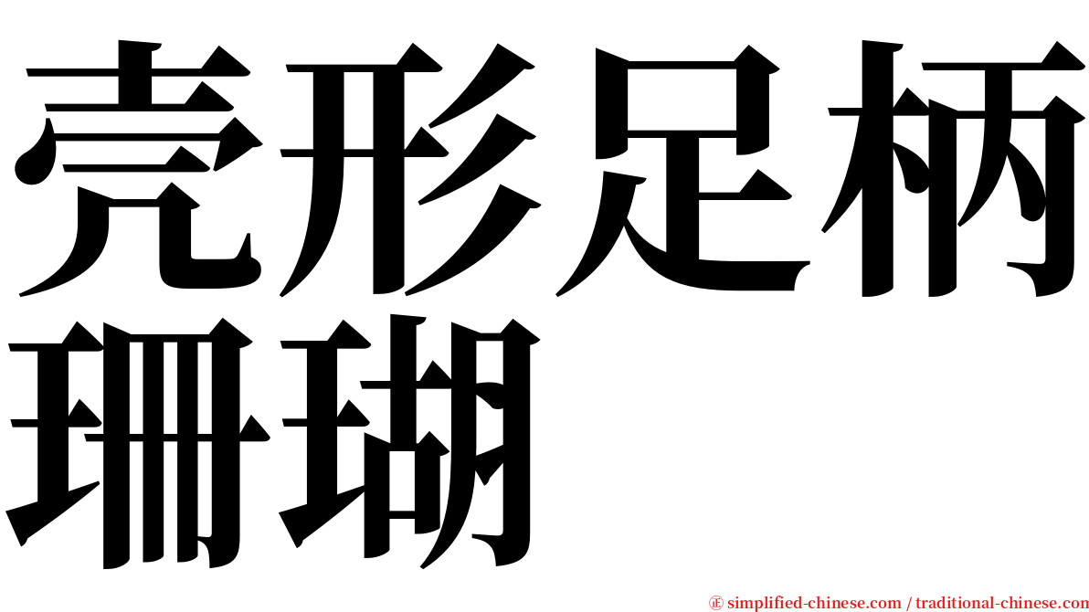 壳形足柄珊瑚 serif font