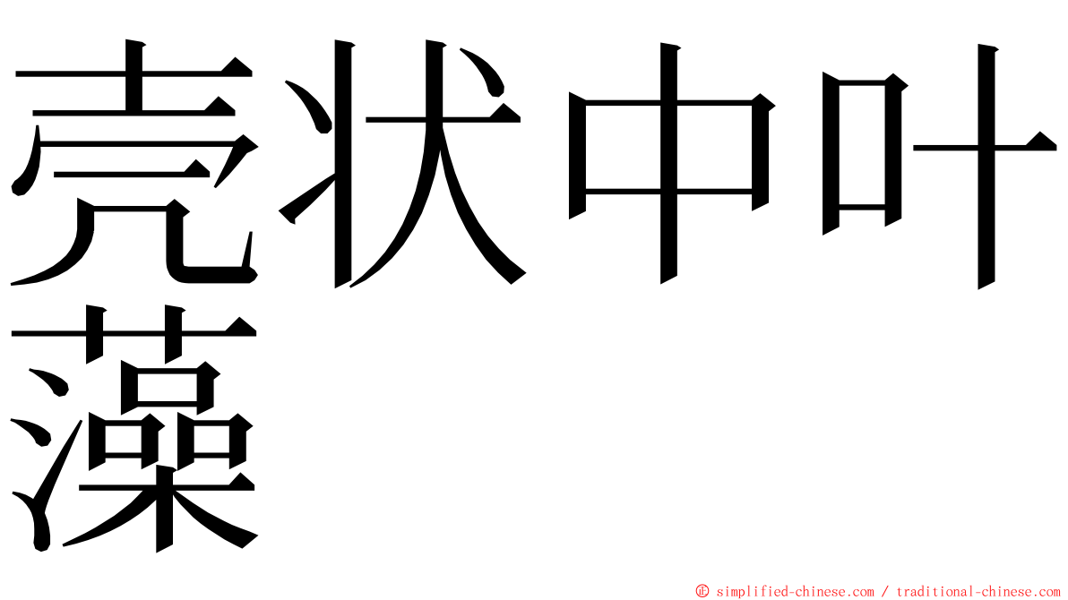 壳状中叶藻 ming font