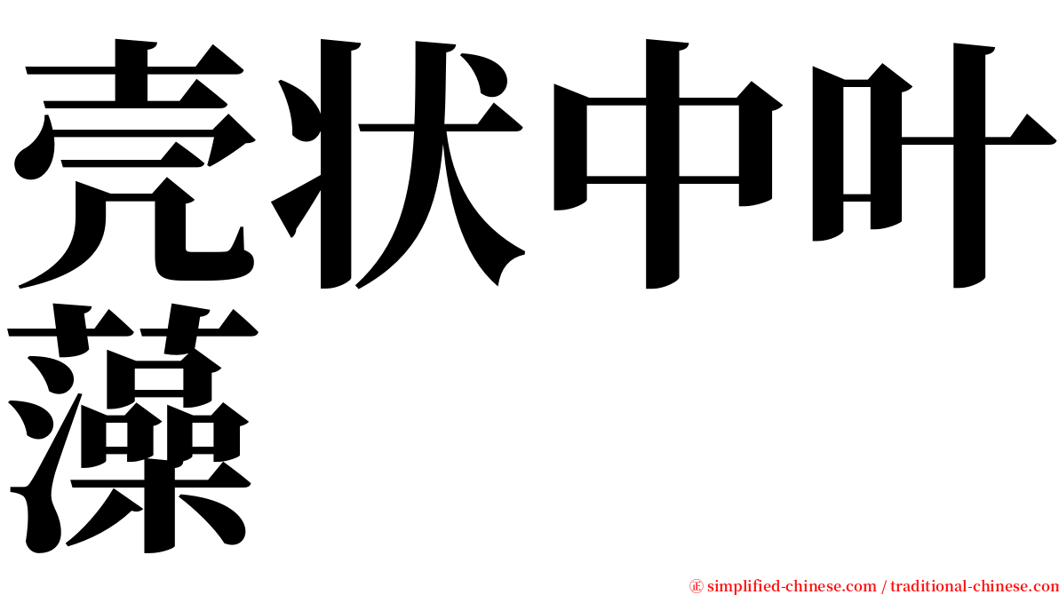 壳状中叶藻 serif font