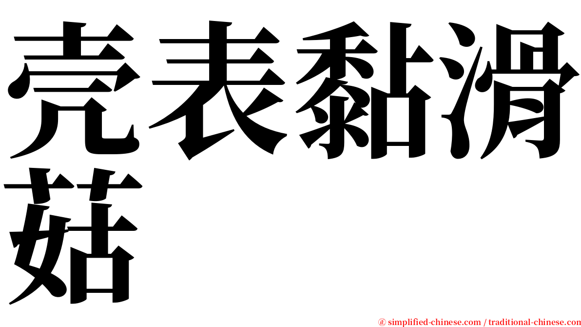 壳表黏滑菇 serif font