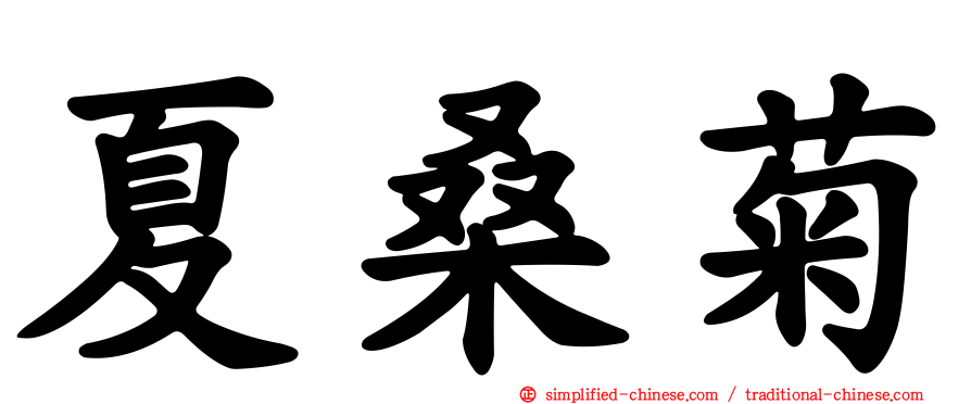 夏桑菊