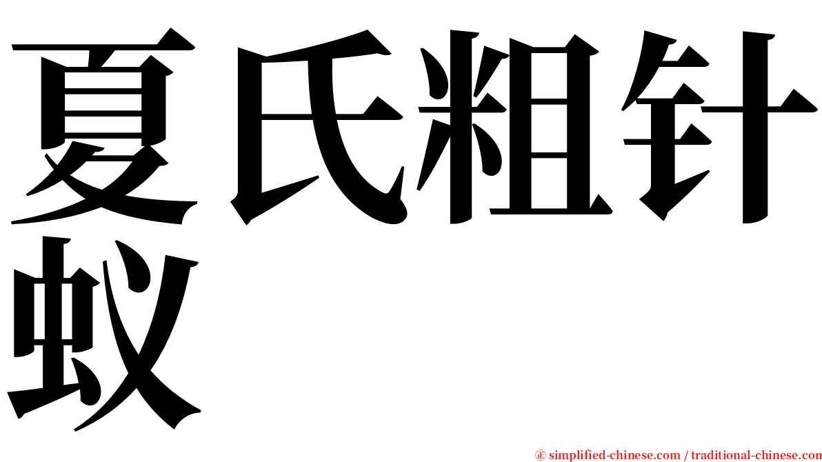 夏氏粗针蚁 serif font