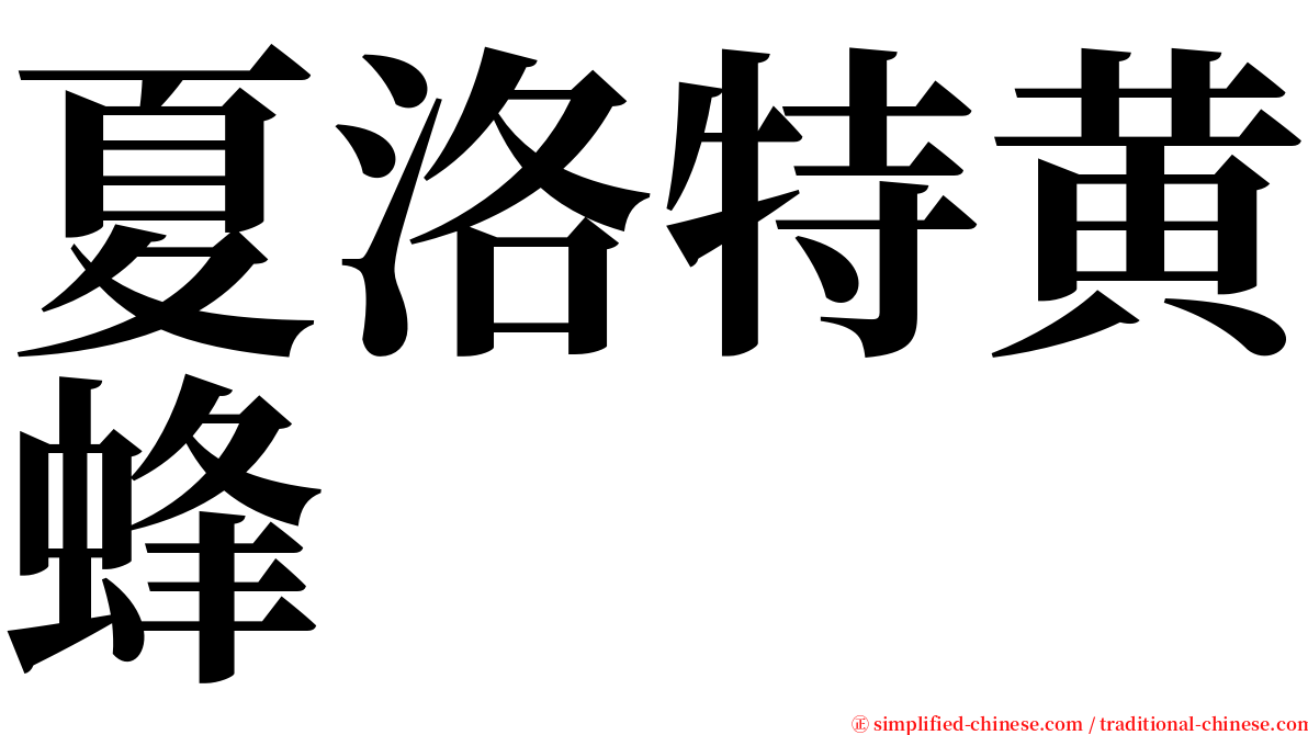 夏洛特黄蜂 serif font