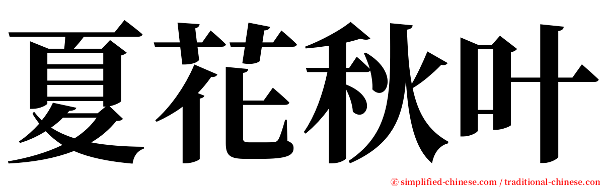 夏花秋叶 serif font