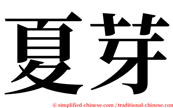 夏芽 serif font