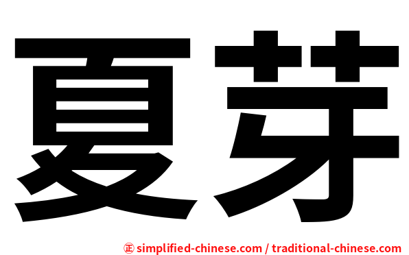 夏芽