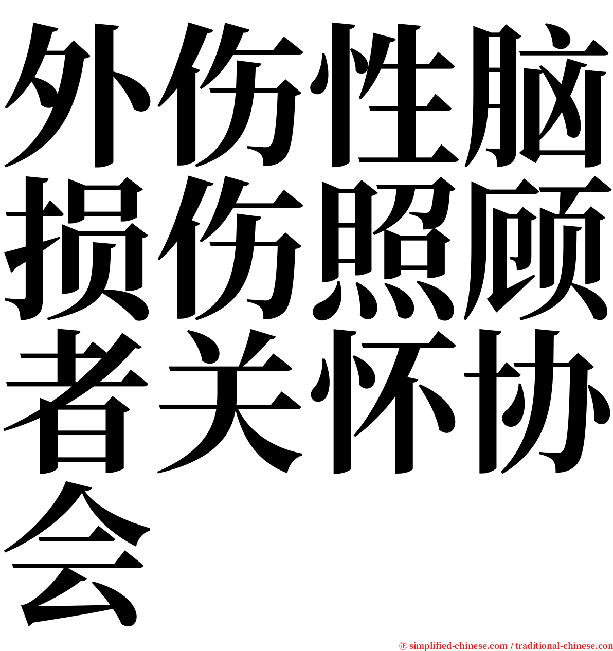 外伤性脑损伤照顾者关怀协会 serif font