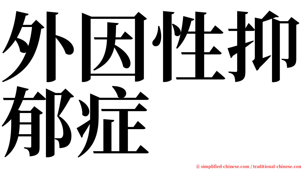 外因性抑郁症 serif font