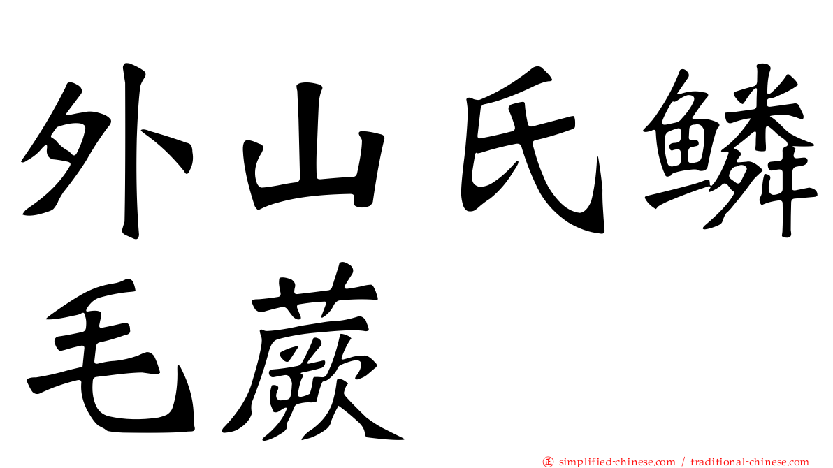 外山氏鳞毛蕨