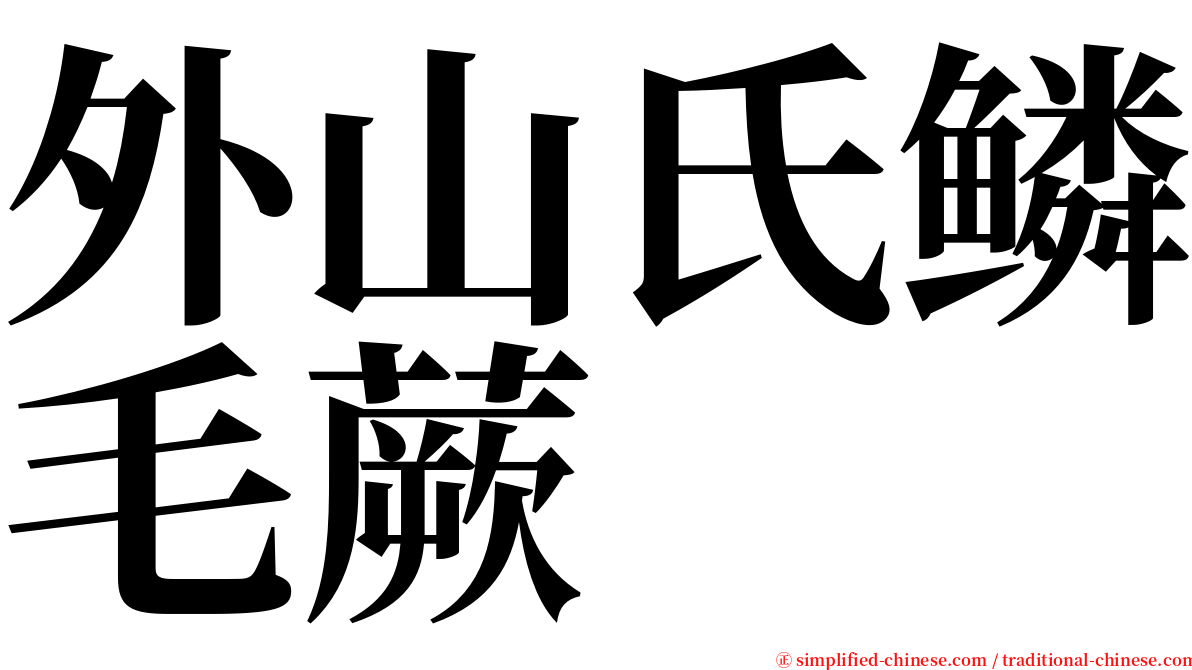 外山氏鳞毛蕨 serif font