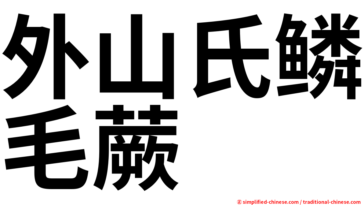 外山氏鳞毛蕨