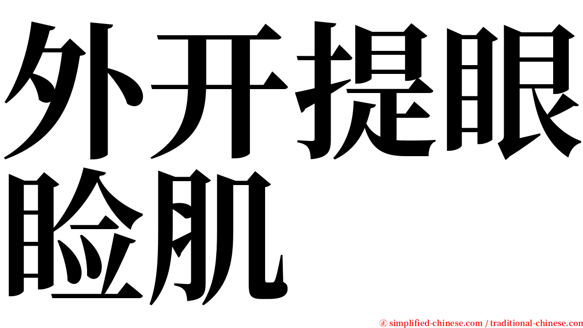 外开提眼睑肌 serif font