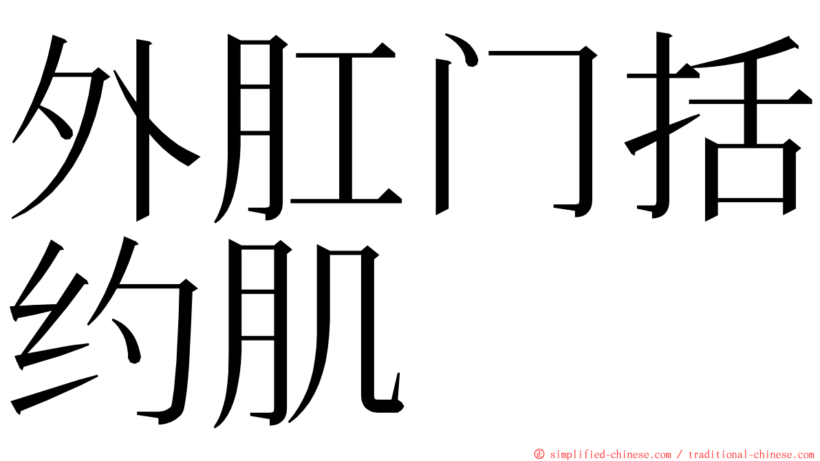 外肛门括约肌 ming font