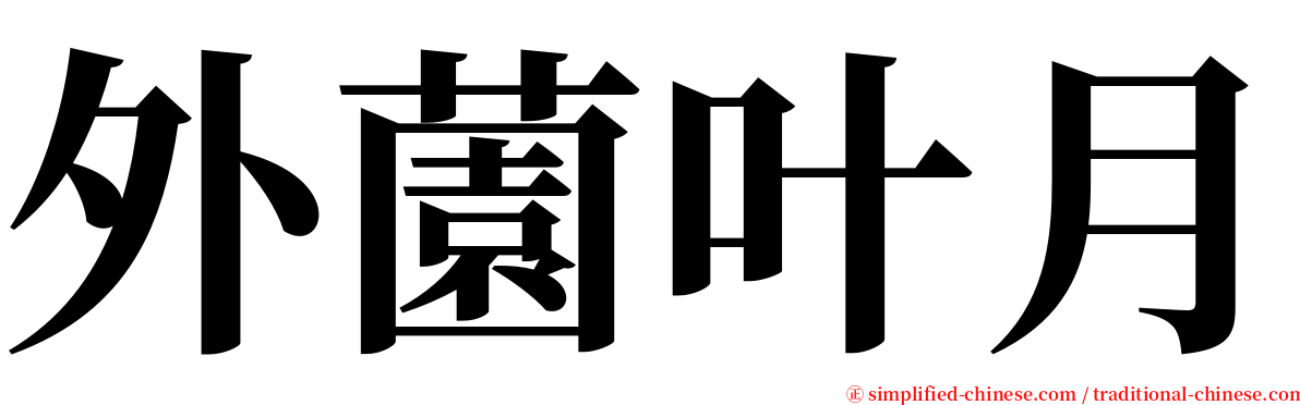 外薗叶月 serif font