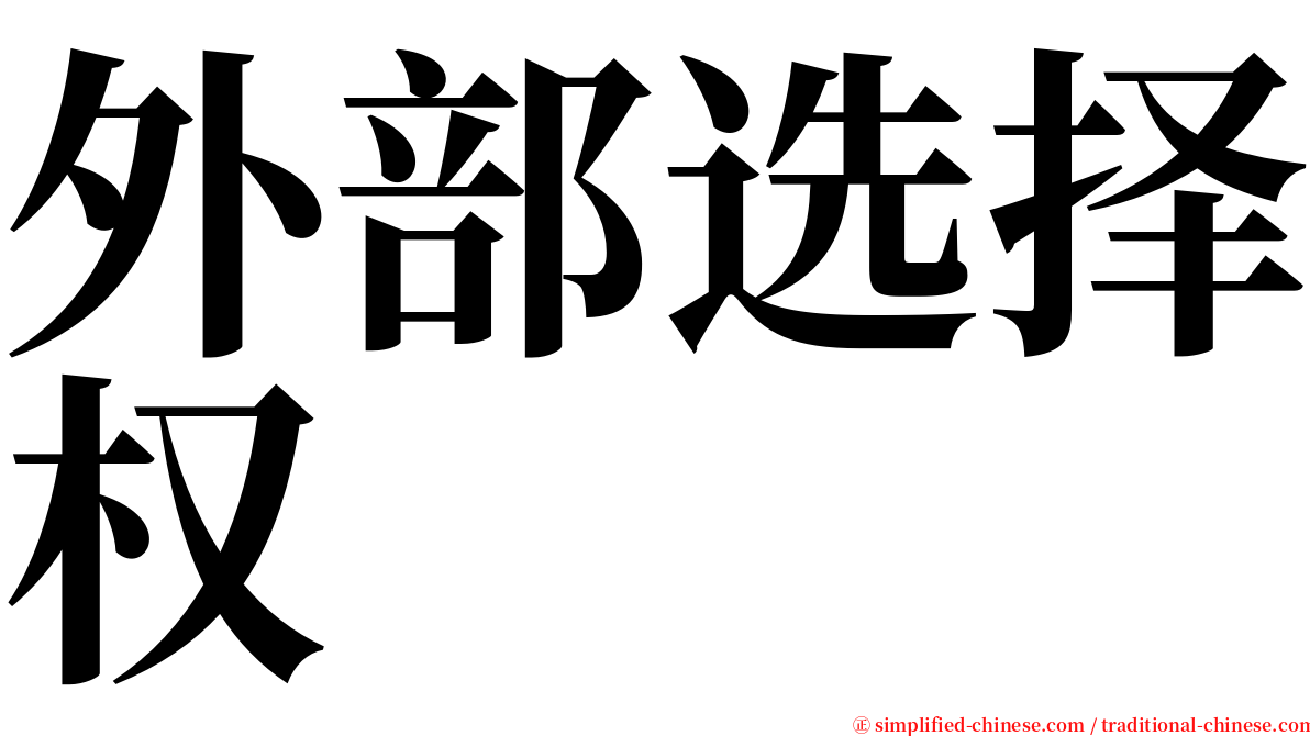 外部选择权 serif font