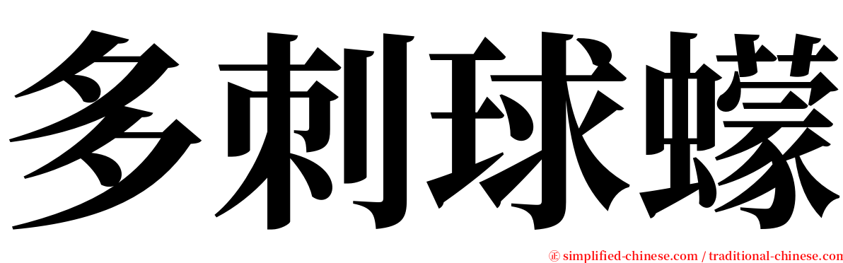 多刺球蠓 serif font