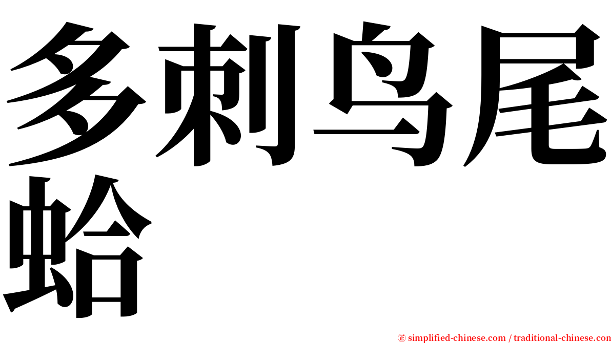 多刺鸟尾蛤 serif font