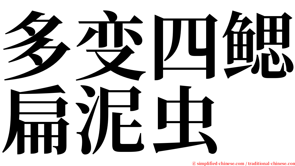 多变四鳃扁泥虫 serif font