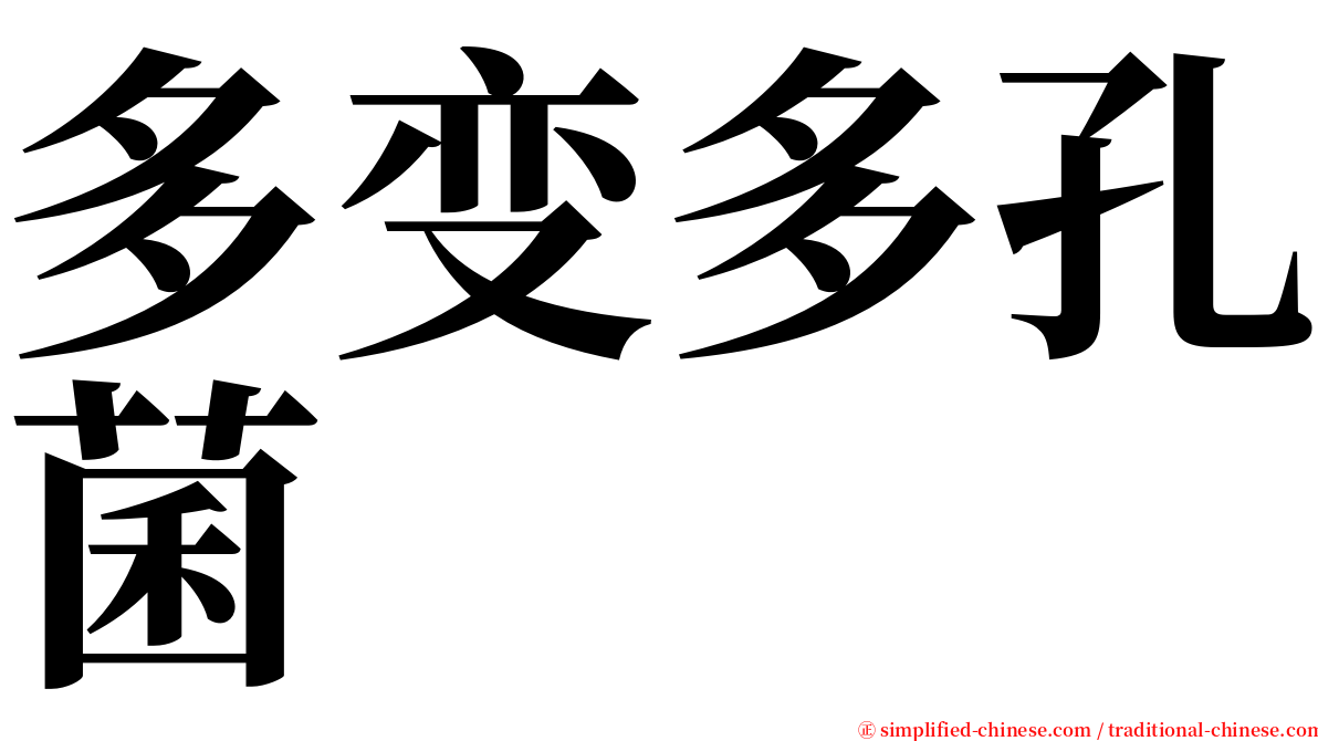 多变多孔菌 serif font