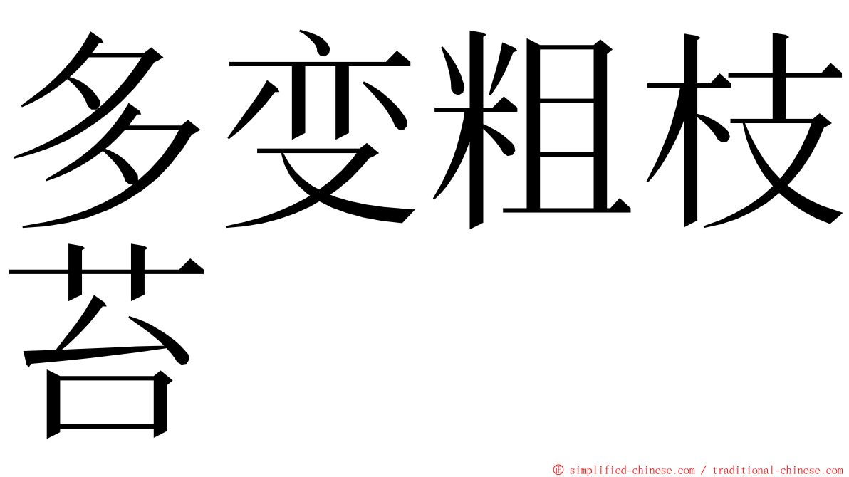 多变粗枝苔 ming font