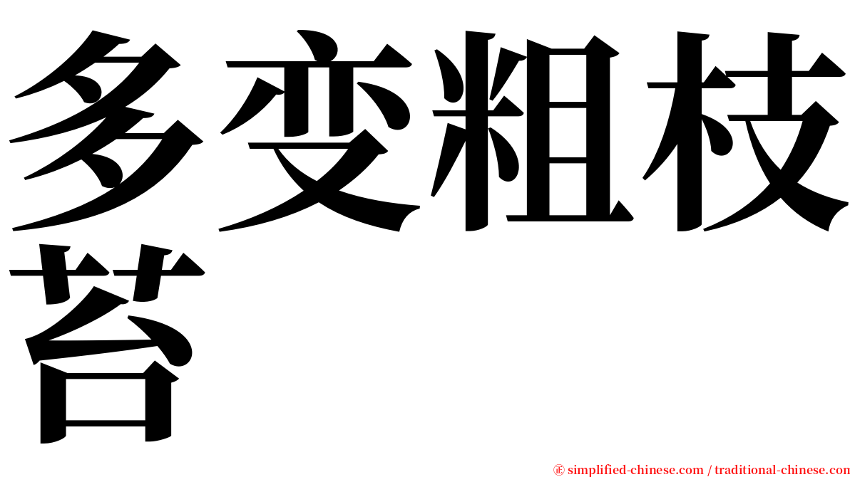 多变粗枝苔 serif font