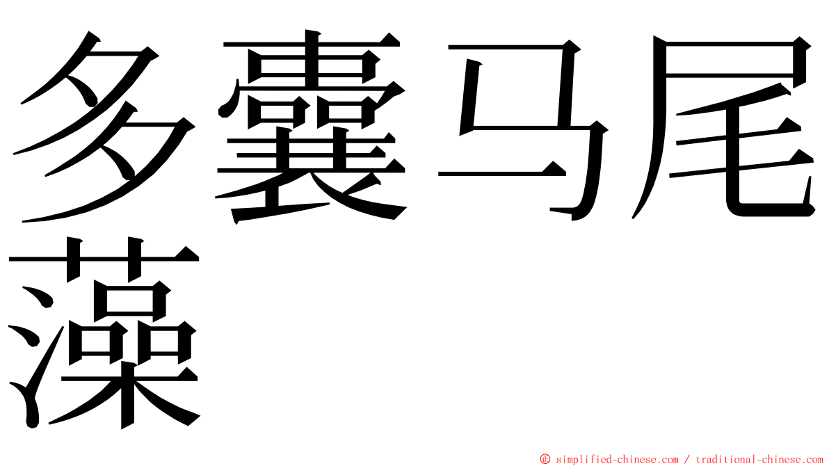 多囊马尾藻 ming font