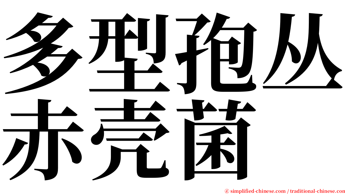 多型孢丛赤壳菌 serif font