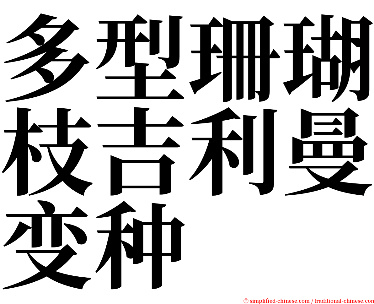 多型珊瑚枝吉利曼变种 serif font