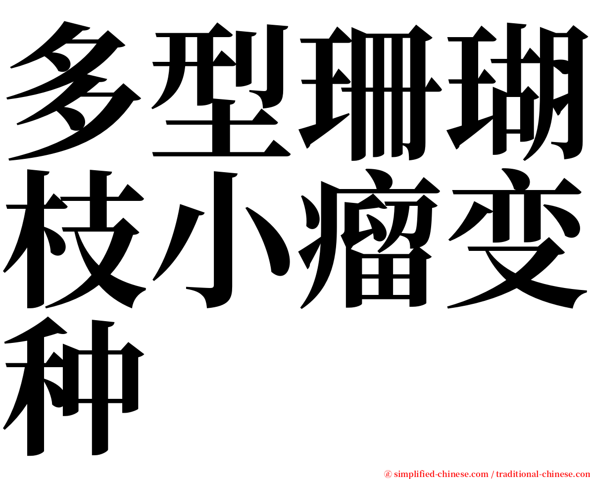 多型珊瑚枝小瘤变种 serif font