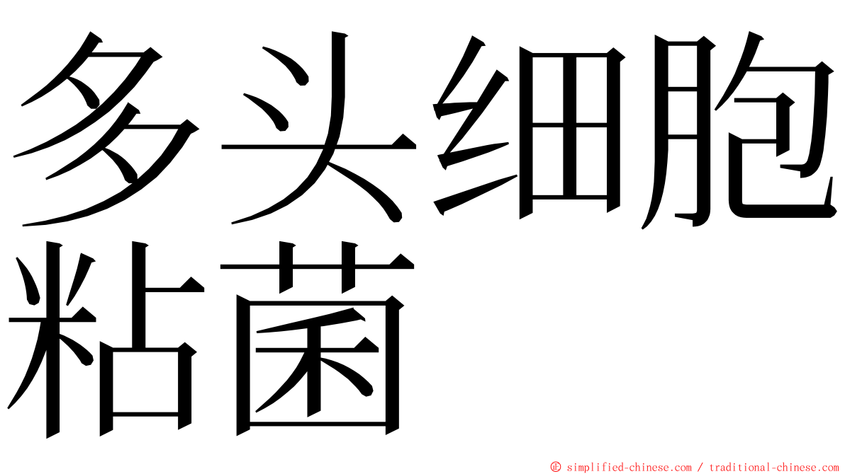 多头细胞粘菌 ming font