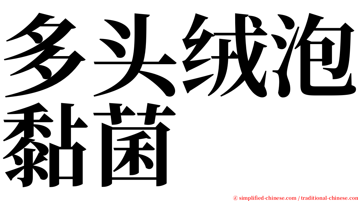 多头绒泡黏菌 serif font