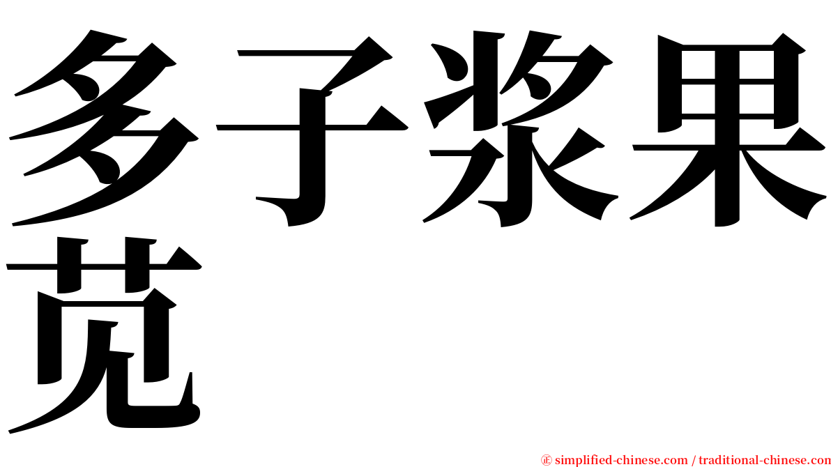 多子浆果苋 serif font