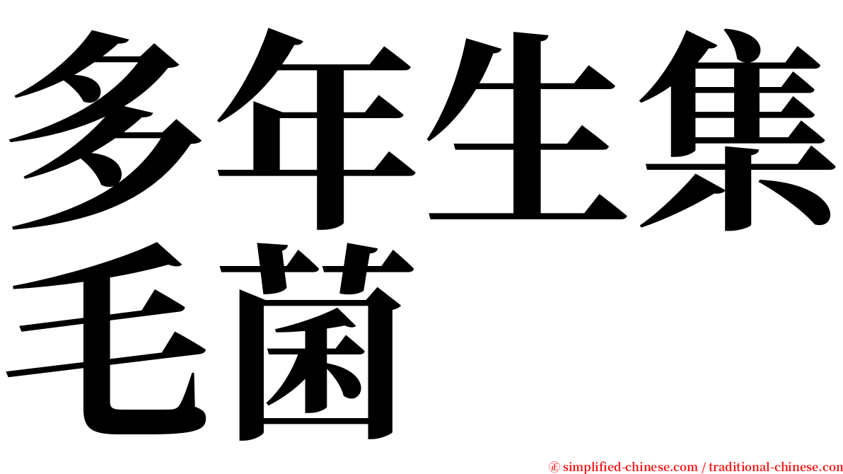 多年生集毛菌 serif font