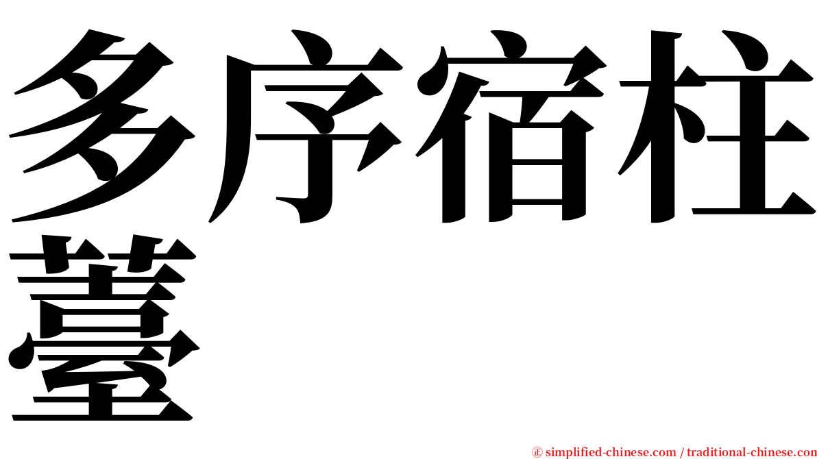 多序宿柱薹 serif font