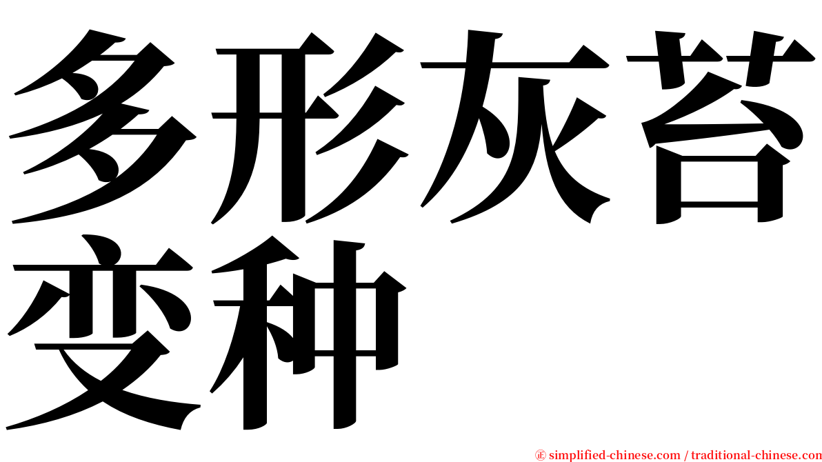 多形灰苔变种 serif font