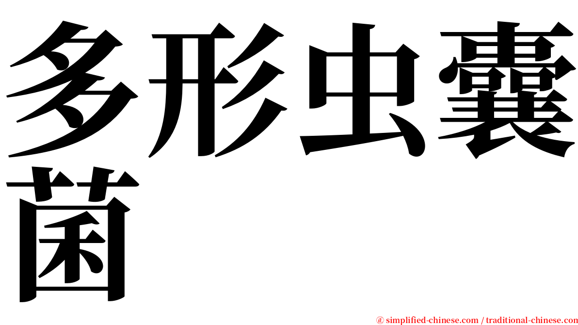 多形虫囊菌 serif font