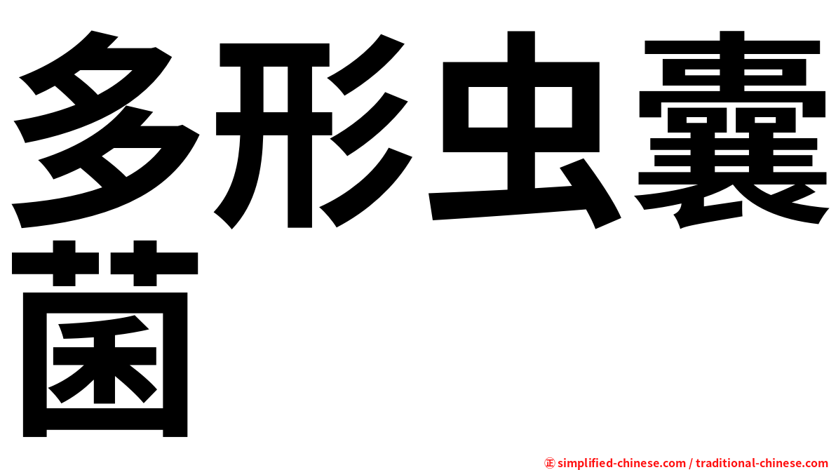 多形虫囊菌