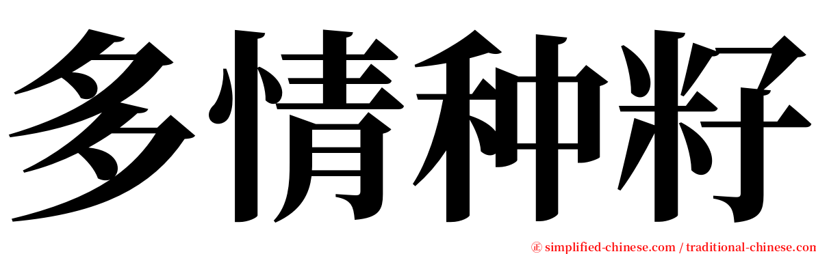 多情种籽 serif font