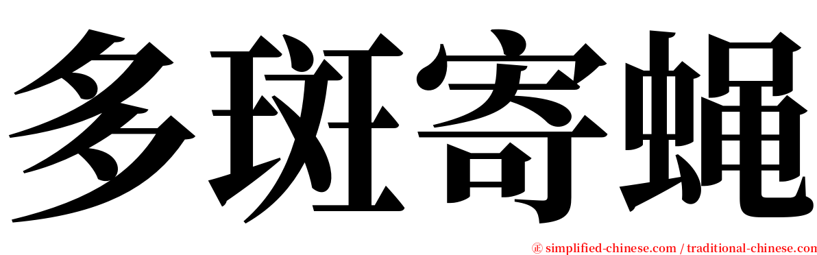 多斑寄蝇 serif font