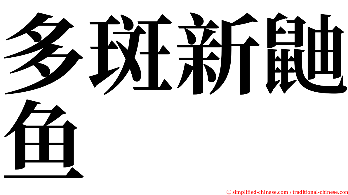 多斑新鼬鱼 serif font