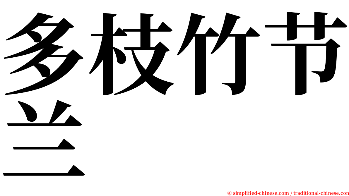 多枝竹节兰 serif font