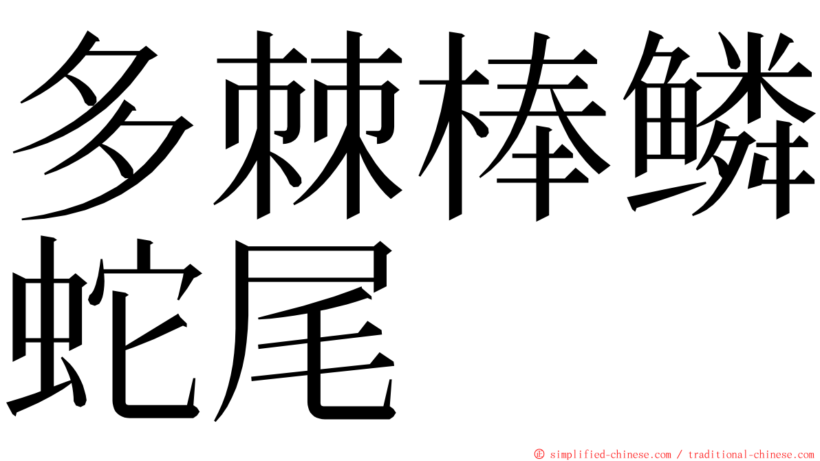 多棘棒鳞蛇尾 ming font